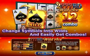 2777BD Wild Ace